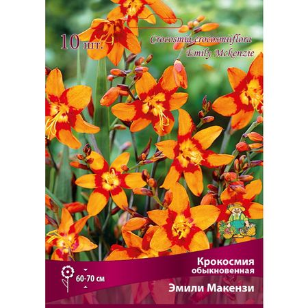луковицы Крокосмия Эмили Макензи 10шт