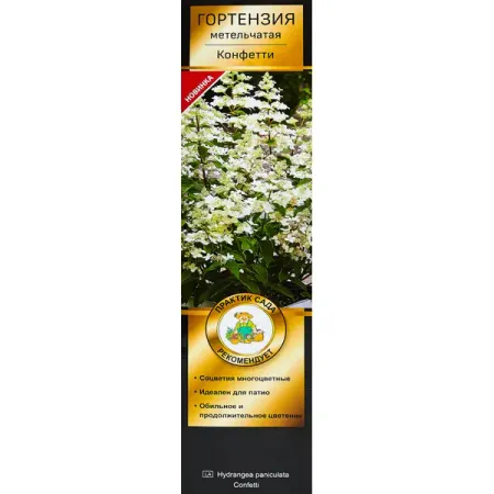 Гортензия метельчатая Конфетти ø5 h35 см yomdid сердцеобразное конфетти из бумаги