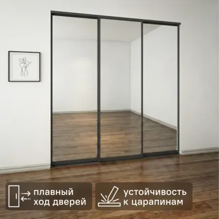Дверь-купе 255.5x70.4 см зеркало цвет зеркало дверь купе elegant 2252х583мм зеркало алюминий