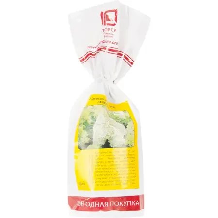 Гортензия метельчатая Селекшен h40 см гортензия метельчатая коттон крим ø17 h20 см