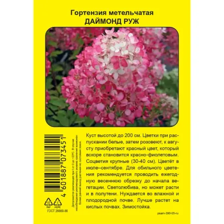 Гортензия метельчатая Даймонд Руж ø5 h37 см гортензия метельчатая мэджикал килиманджаро ø17 h20 см