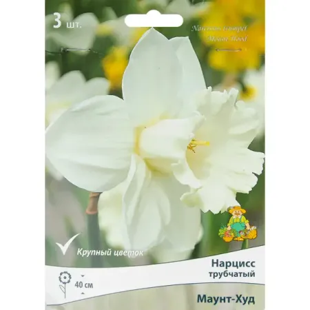 Нарцисс трубчатый Маунт-худ 10/12 3 шт колодка 2 гнезда эра с зазeмлением белая