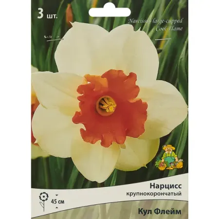 Нарцисс крупнокорончатый Кул флейм луковица 10/12, 3 шт. подпорка для растений металлическая 45см 60см