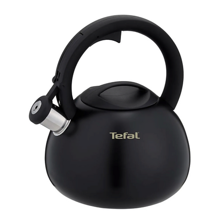 Набор посуды TEFAL Чайник со свистком Kettle ss induction N4180417