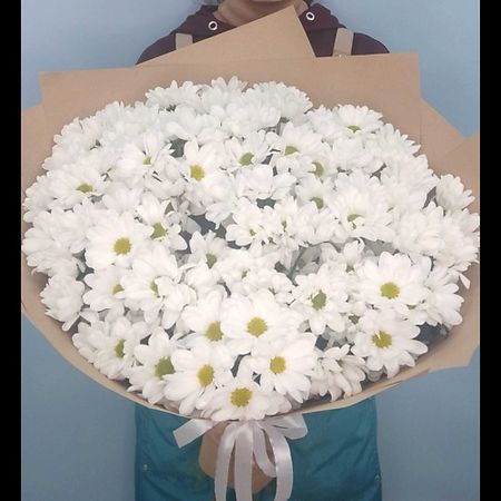 Букет живых цветов ПЯТЬ ЦВЕТОВ Букет из 19 белых хризантем в крафте