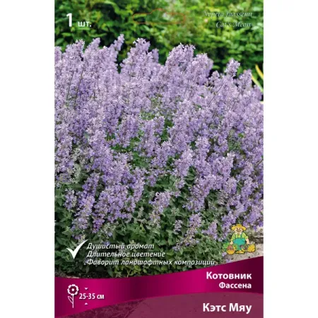 Котовник Кэт Мяу I