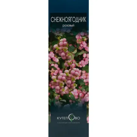 Снежноягодник розовый 9x30 см 2 шт конические подсвечники moonbiffy