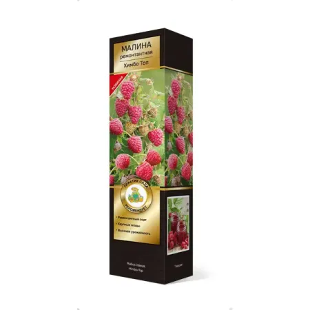 Малина ремонтантные сорт Химбо-Топ h37 см звездочка флю малина пор д приг р р д приема внутрь пак 15г 5шт