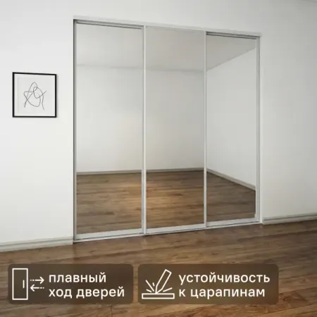 Дверь-купе 225.5x70.4 см зеркало цвет зеркало дверь купе elegant 2252х583мм зеркало алюминий