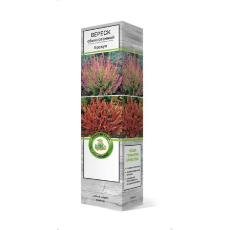 Вереск обыкновенный Боскуп ø5 h35 см вереск марлиес ø9 см h18 см
