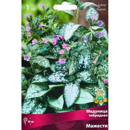 Медуница Гибридная Мажести оригинальная материнская плата рулевого колеса logitech g29 g27 g920 g923 зеленый