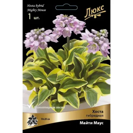 Хоста гибридная Майти Маус