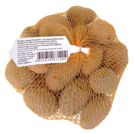 картофель ДОМ СЕМЯН Ред Скарлетт Элита 9шт