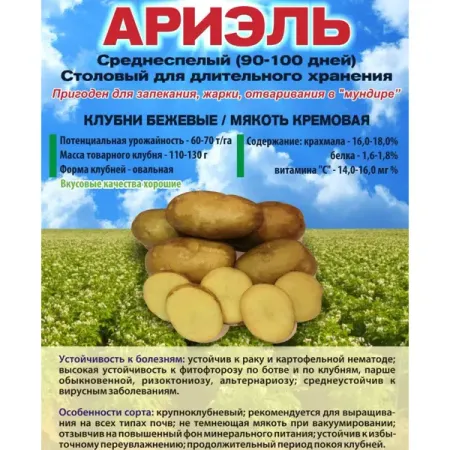 Картофель Ариэль Суперэлита 2 кг картофель отварной солюшко со специями 500 г