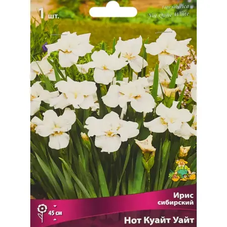 Ирис сибирский Нот Куайт Уайт 1 шт. искусственные синие шелковые листья для декора
