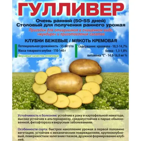 Картофель Гулливер Суперэлита 2 кг картофель отварной солюшко со специями 500 г